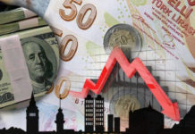 The Effects of the Turkish Currency Plunge