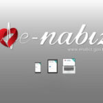 Introduction to the Pulse Portal (E-Nabiz) for Medical Services in Turkey