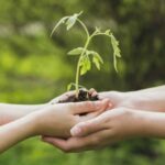 Prospects for achieving sustainable development goals