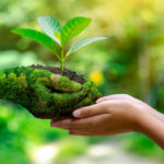 Sustainable development and the requirements of the rule of law